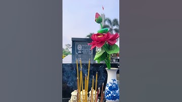 Tảo mộ  là nét đẹp truyền thống  của người Việt để tỏ lòng biết ơn với ông bà, tổ tiên! #lacveque