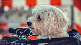 Fujifilm X T10 Sample Photos Fujifilm X T10 Photography