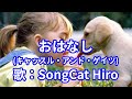 『おはなし』(キャッスル・アンド・ゲイツ) 歌:SongCat Hiro