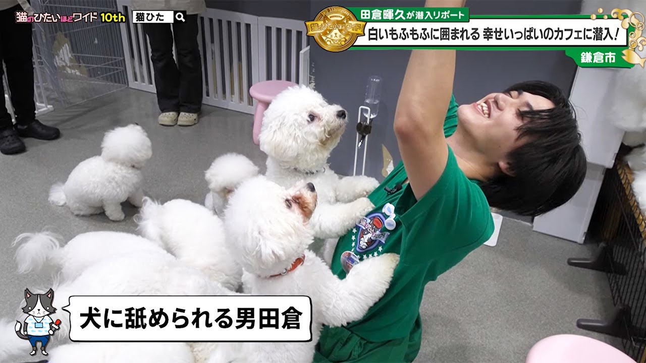 猫のひたいほどワイド #1623 リポート大賞・田倉暉久「新体験のカフェ
