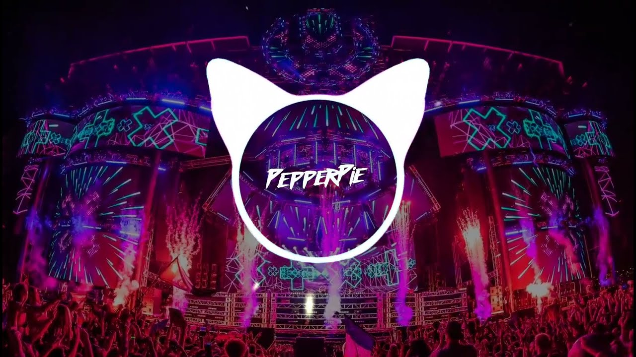 RIO x The Hitman - Like I Love You ( PepperPie Festival Remix )