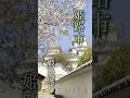 【大天守からの眺望を望む🏯姫路城】四季折々の風景を望む【ひょうごフィールドパビリオン】