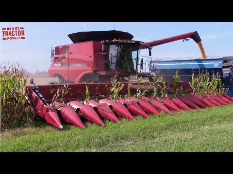 Big COMBINES Harvesting