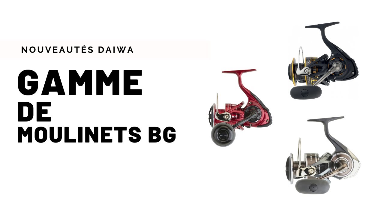 DAIWA BG RR LT 4000D-CXH-ARK vs DAIWA BG 3000