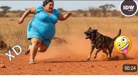 Try Not to Laugh Challenge (IMPOSSIBLE) Laugh and You Lose! Part 16