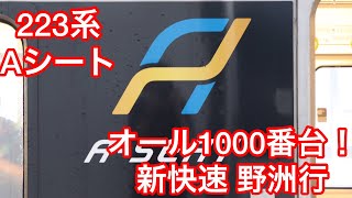 〈Aシート！〉223系 V4編成＋W17編成 新快速 野洲行