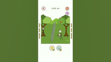 Thief Puzzle Level 114