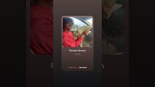 P-Jizzle Florida Grown 