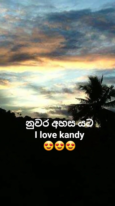 sri Lanka beautiful city kandy 😍 #viralshort #nature #srilanka #love