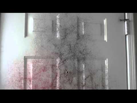 MicroFilm No. 7: Awakening (Trapcode Form test)