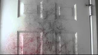 Famous MicroFilm No. 7: Awakening (Trapcode Form test) Wealth