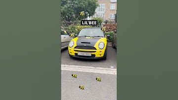 Got a name for your MINI?