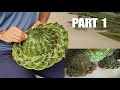 How to make Coconut Leaf Hat | Part 1 - 2