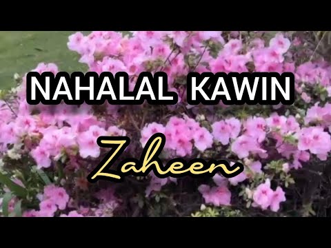 NAHALAL KAWIN English Version COVER SONG