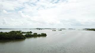 Cedar Key Boat Launch   HD 720p
