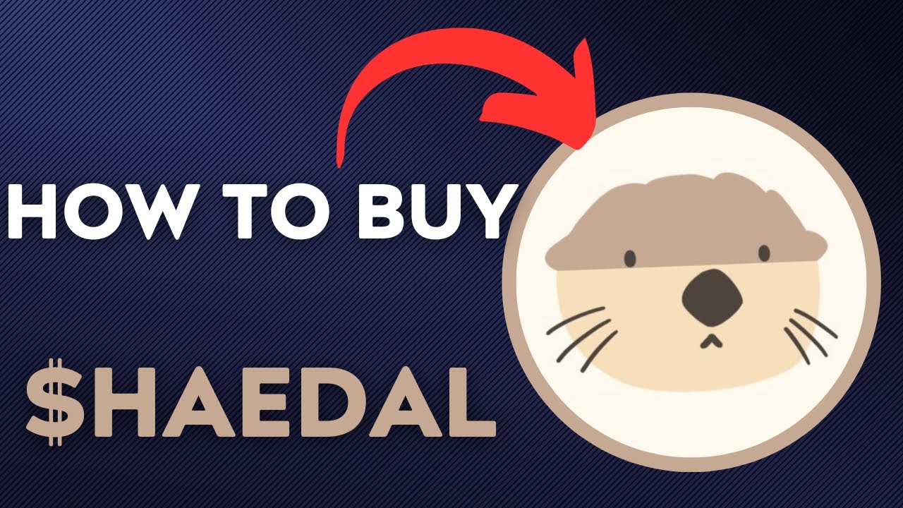 How To BUY $HAEDAL - Haedal Protocol TOKEN CRYPTO COIN IN 60 SECONDS