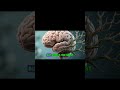 Low IQ vs High IQ Explained in 60 Seconds #overcomeoverthinking