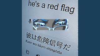 Red Flags