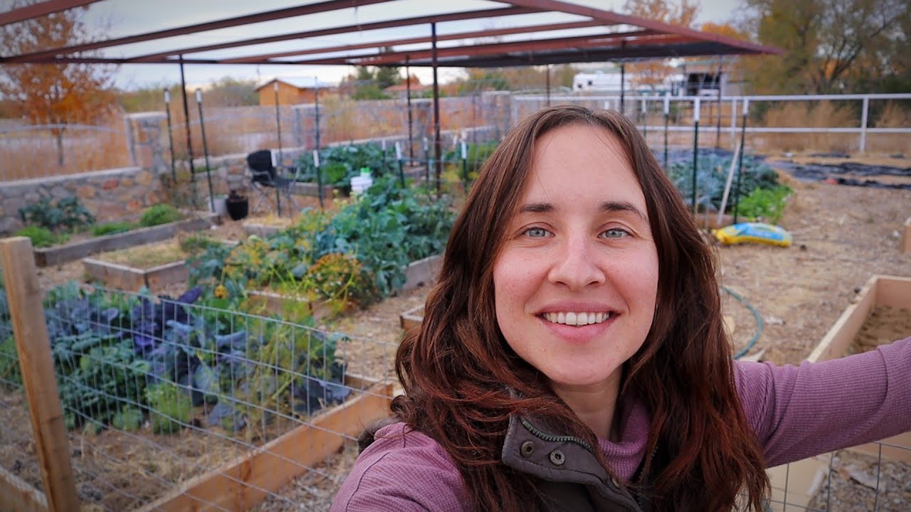 Desert Fall Garden Tour | What I'm Growing All Winter - YouTube