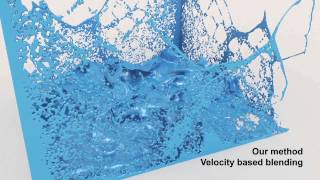 TVCJ, Simulating Water with Responsive Surface Tracking Wealth