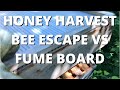 Honey Harvest, Escape board vs Fume board