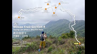 Wilson Trail Section 4 | Tseng Lan Shue to Sha Tin Pass | 衛奕信徑 4 井欄樹至沙田坳