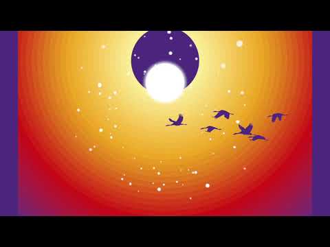 YouTubeでAmbala - Quiet Yellow Purple (ft. Anders Ponsaing & Troels Hammer) - s0716を視聴 YouTubeでAmbala - Quiet Yellow Purple (ft. Anders Ponsaing & Troels Hammer) - s0716を視聴