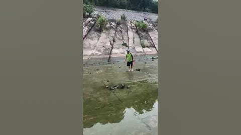 Thủy điện hòa bình ngày nước cạn | Công Thức Mồi Câu Cá Sông