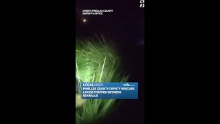 Pinellas County deputy rescues 2 dogs trapped between seawalls