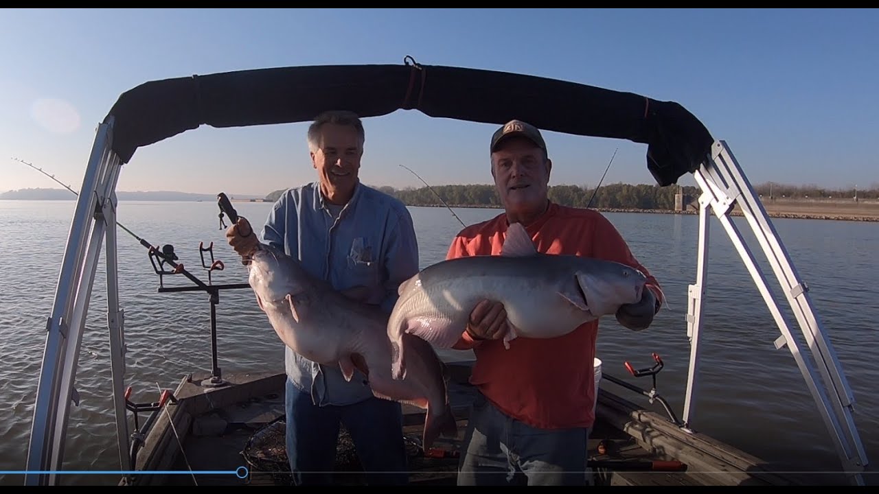 Catching big blues at Smithland Dam in late October and early November