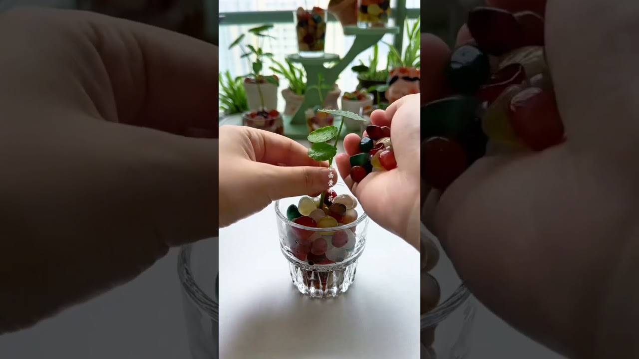 Natural Life recycling cup water for plants flower #diy #flowers #garden #bonsai #2025