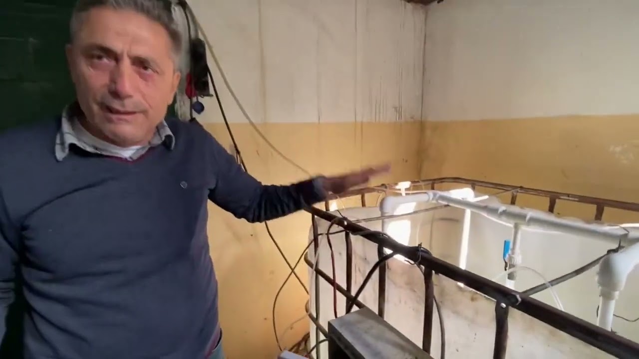 IBC Tankta Sıvı Solucan Gübresi Üretimi