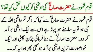 Hazrat Saleh A.s Ki Ountni Ka Waqia Qaum E Samood Par Azab Islamic Stories Moral Stories