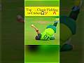 Top 👀 Super 🎯 Fielding effort in cricket 🎧🏏 #cricket #viralcricket #best #viral #ipl #top#viratkohli