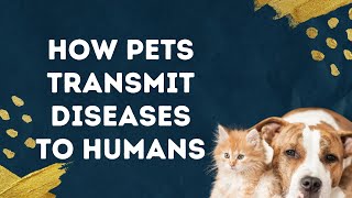 How Pets Transmit Diseases to Humans