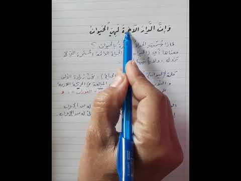 وإن الدار الآخرة لهي الحيوان إعراب وبيان 