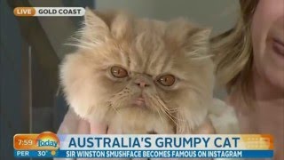 Sir Winston Smushface is Displeased with Karl Stefanovic