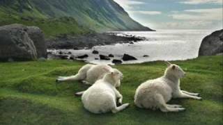 Video voorbeeld van "Pan Jest Pasterzem Moim.wmv"