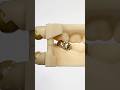 14Kt Gold Crown EnvisiontecMain Envisiontec Lsk121shorts Dentist Teeth 14Kt Gold Crown EnvisiontecMain Envisiontec Lsk121shorts Dentist Teeth