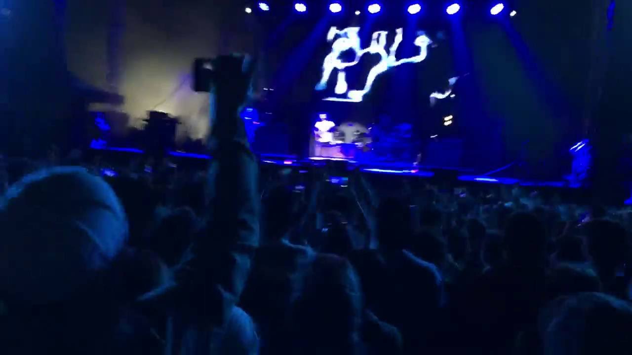 Hands Down Dashboard Confessional at Taste of Chaos 2016 YouTube