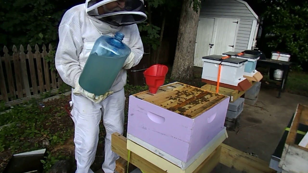 Hive Beatle Treatment and Frame Feeder install