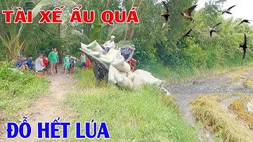 Tài Xế Máy Kéo Chở Lúa Lên Dốc Bị Tuột Bánh Xích Rớt Hết Lúa Quá Nguy Hiểm  #thanhhuamaycat