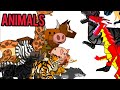Learn animals for kid and baby english and indonesian language| animals sound | bunny hop song |