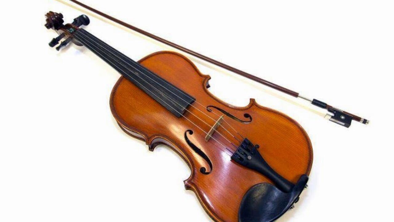 Виды скрипичных. Скрипка. Скрипка инструмент. Изображение скрипки. Классические музыкальные инструменты.