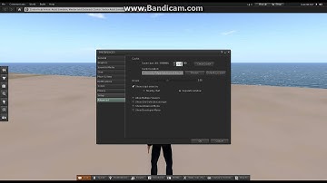 Setting some second life preferences