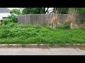 Homeowner Was SHOCKED At The Transformation -  UGLY LAWN Makeover Start To Finish YARD CLEANUP