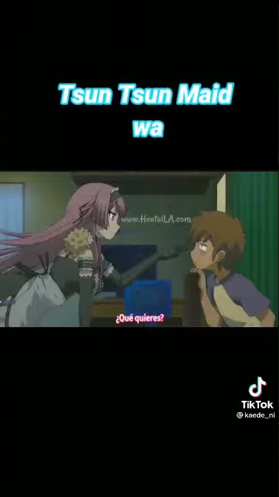 top 2 hentai maid