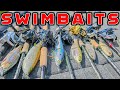 Swimbait fishing  full seminar for beginners and advanced anglers