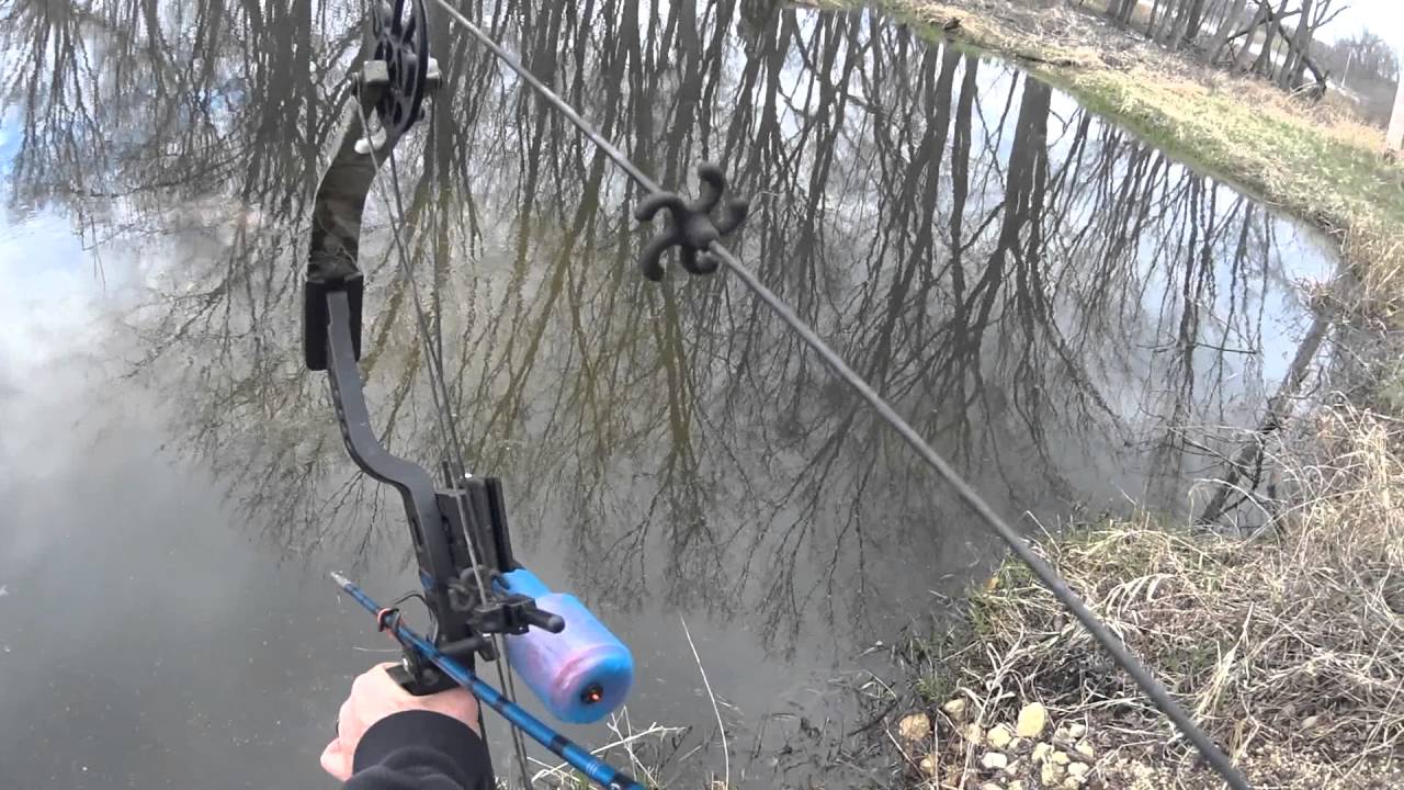 Bowfishing Wisconsin 2016 YouTube