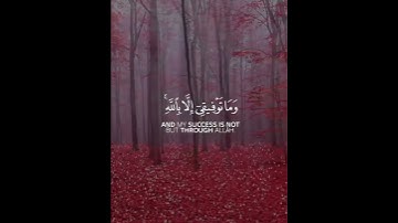 سورة هود | القارئ مشاري العفاسي
